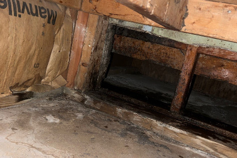 Winston Dryer & Duct Cleaners